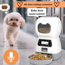 Lade das Bild in den Galerie-Viewer, 3,5 l  Futterstation Robby mit Edelstahl-Schüssel für Katzen und Hunde!
