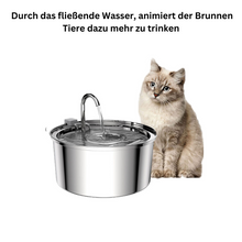 Lade das Bild in den Galerie-Viewer, Trinkbrunnen Tikvi - sauberer und sicherer geht es nicht

